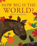 How_big_is_the_world_