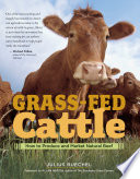 Grass-fed_cattle