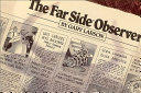 The_Far_Side_observer