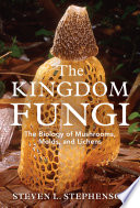 The_Kingdom_fungi