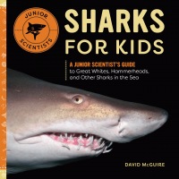 Sharks_for_kids