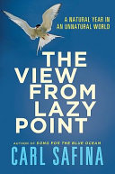The_view_from_lazy_point