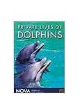 Private_lives_of_dolphins