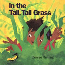 In_the_tall__tall_grass